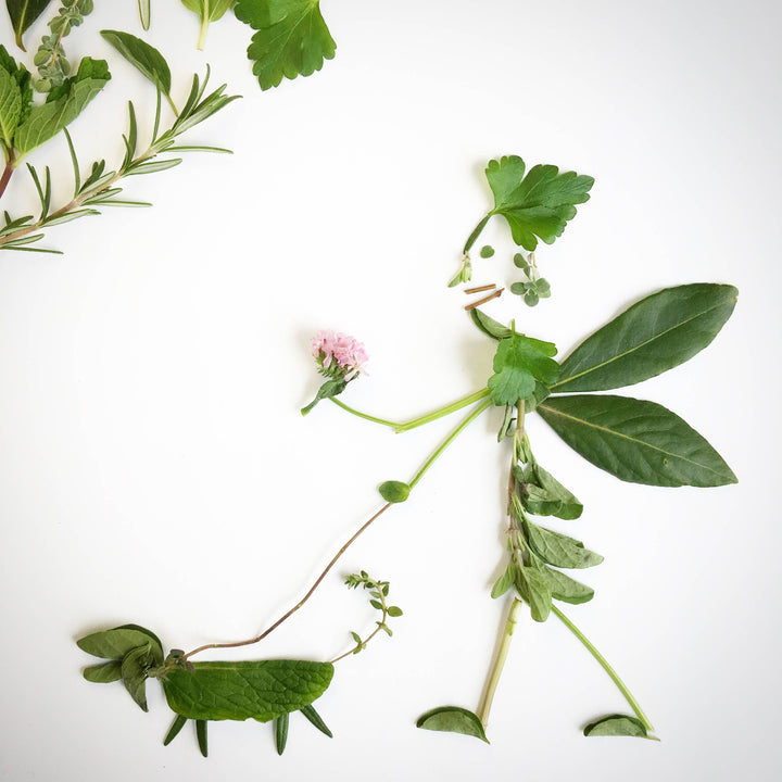 Garden in a Bag - Dog Grass