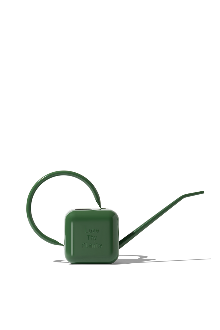 Houseplant Watering Can