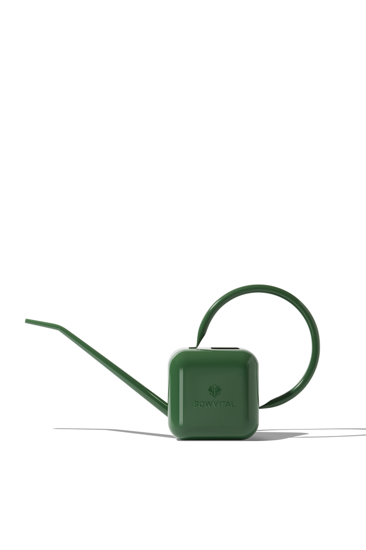 Houseplant Watering Can