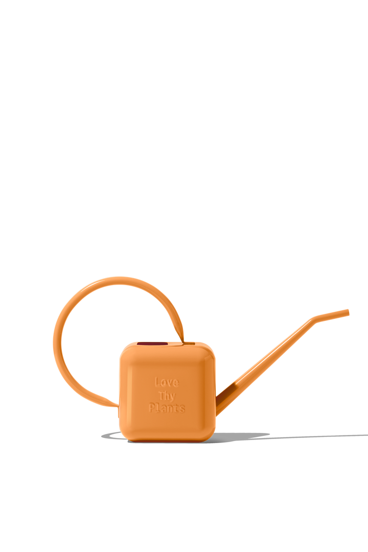 Houseplant Watering Can