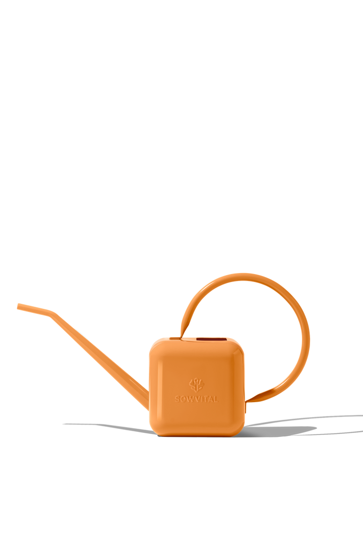 Houseplant Watering Can