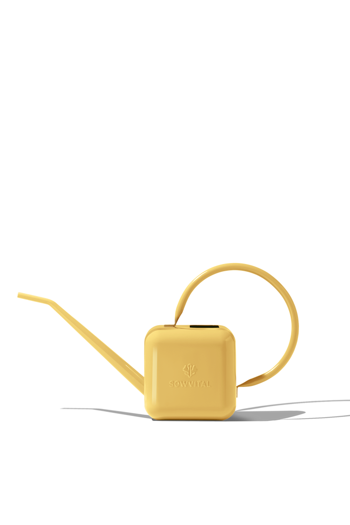 Houseplant Watering Can