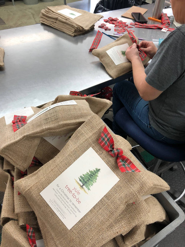 Christmas Tree to Be