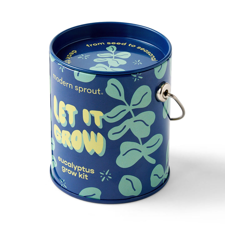 Holiday Complimentary Colors Grow Kits