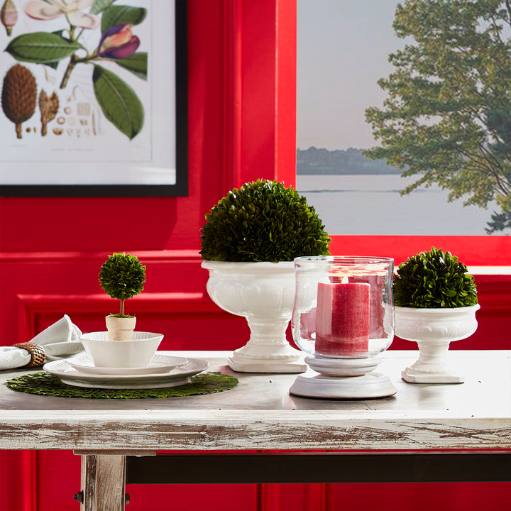 Preserved Boxwood Ball