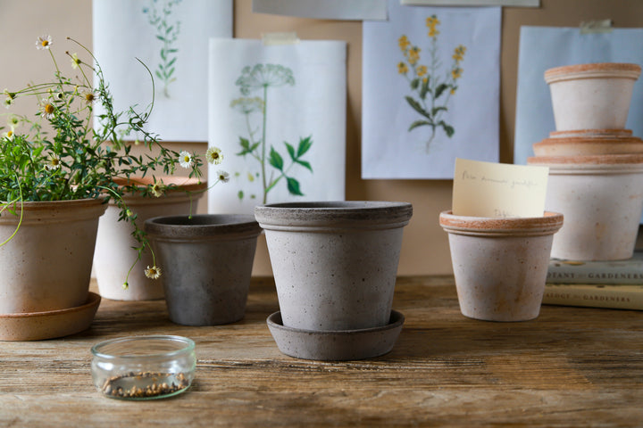 Double Rim Pot