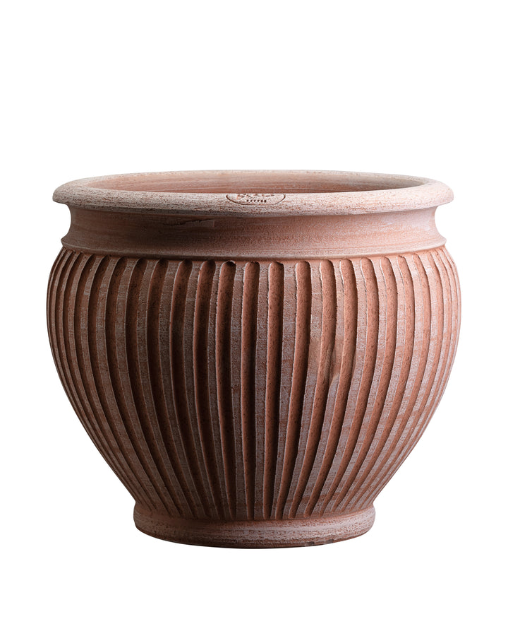Piccolina Pot
