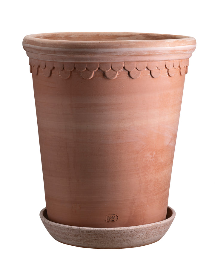 Double Scallop Pot