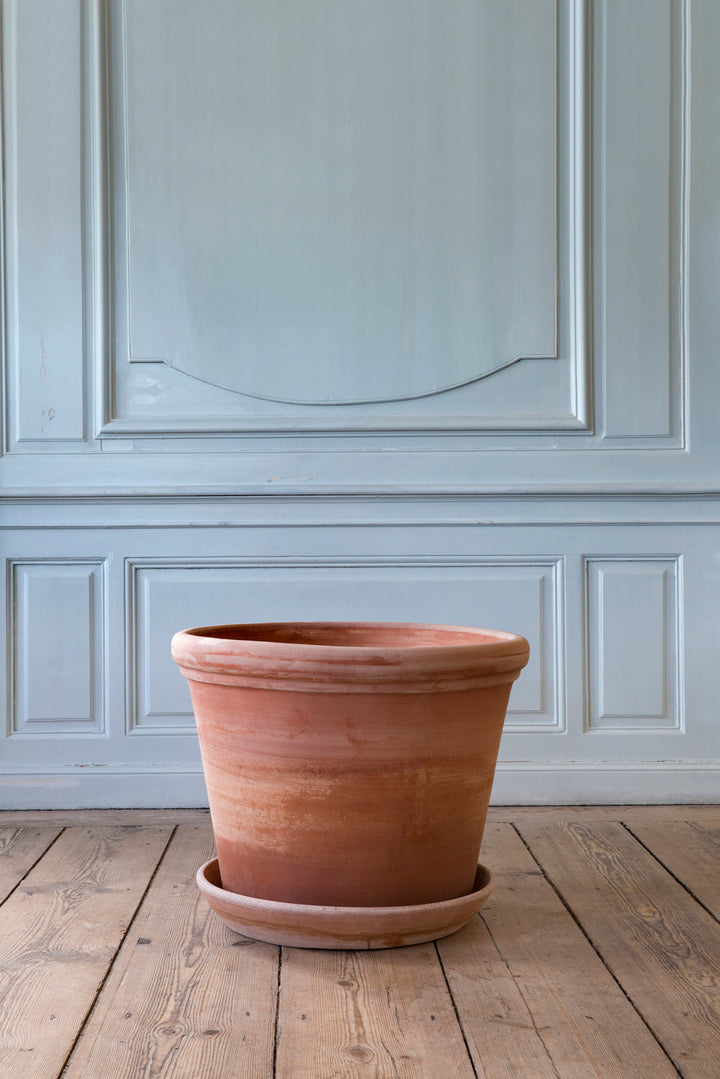 Double Rim Pot