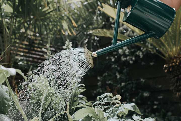 Haws Bearwood Watering Can