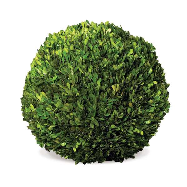 Preserved Boxwood Ball