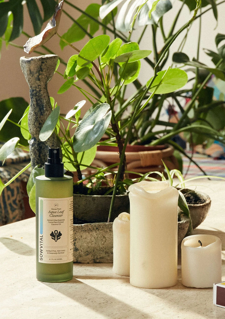 Sowvital Houseplant Aqua Leaf Cleanser