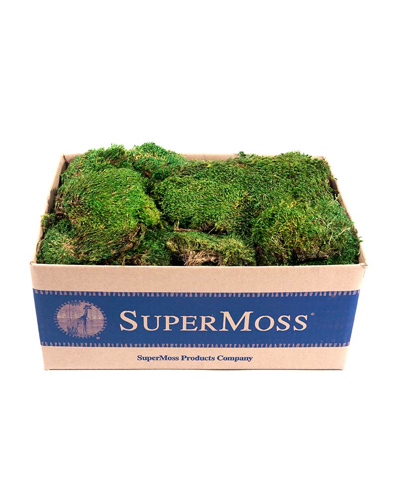 Supermoss Green Sheet Moss
