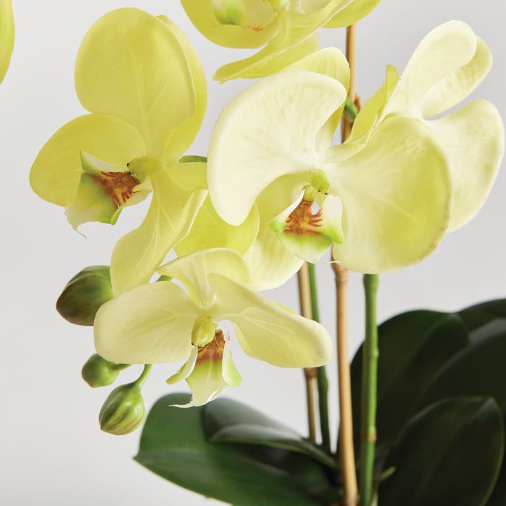 23" Faux Orchid - Yellow