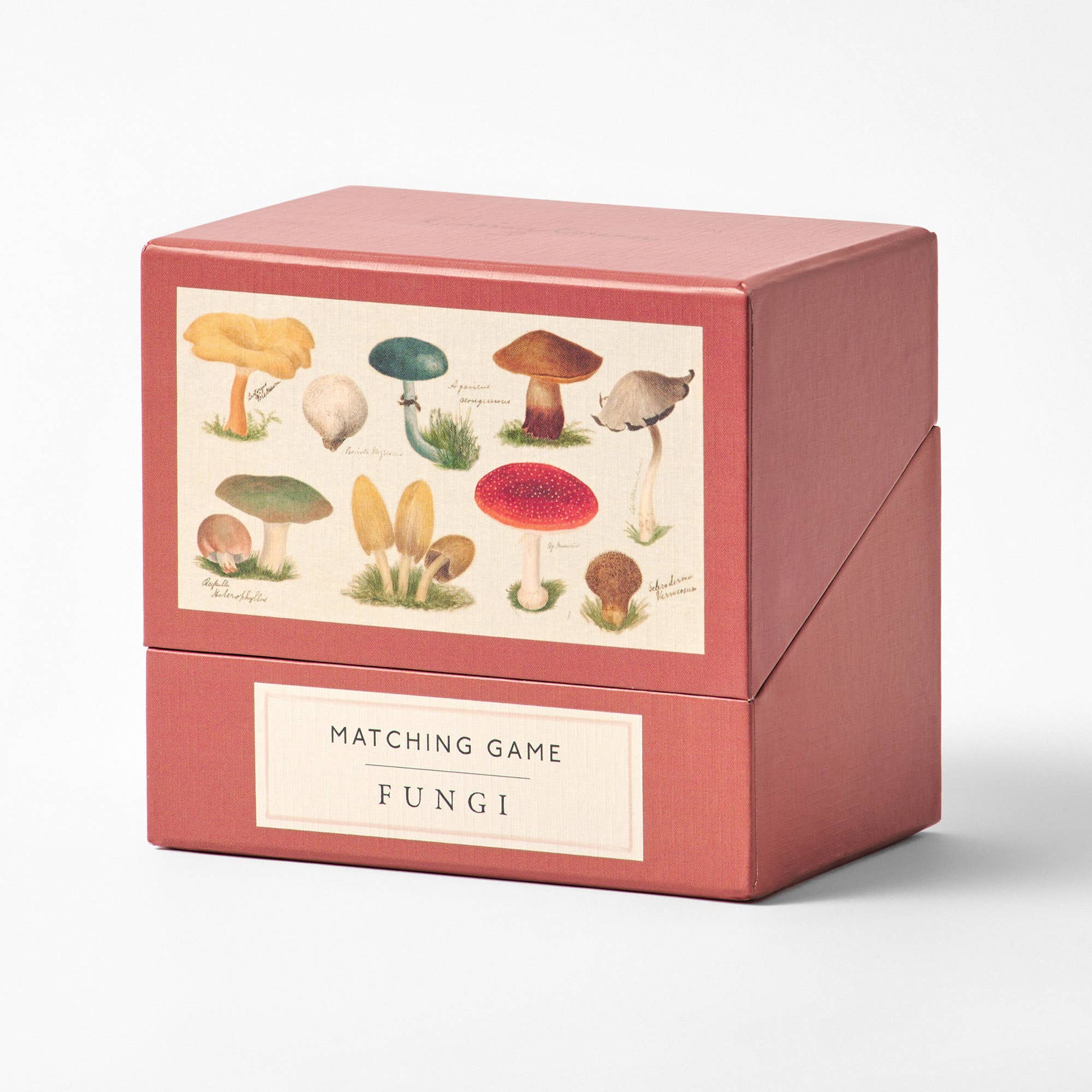 Fungi Matching Game – The Old Yew Plant Shop
