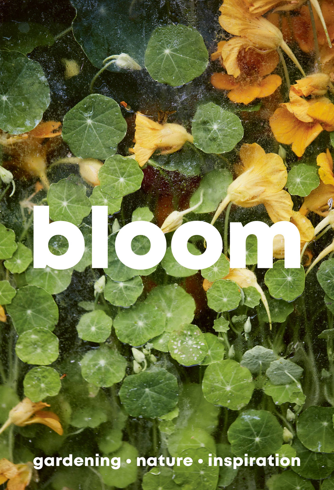 Bloom Magazine – Issue 15