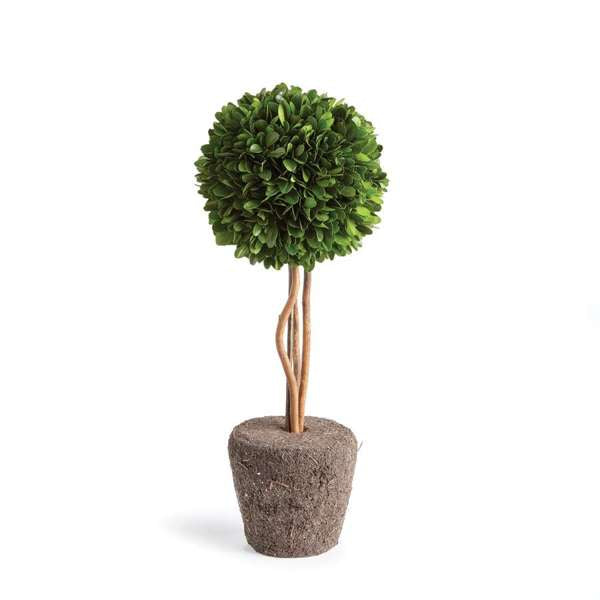 Preserved Boxwood Topiary - Single Sphere