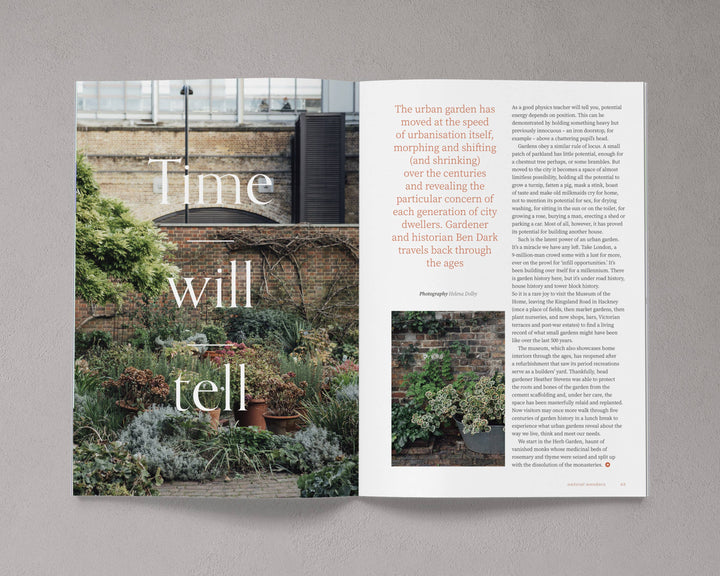 Bloom Magazine – Issue 16