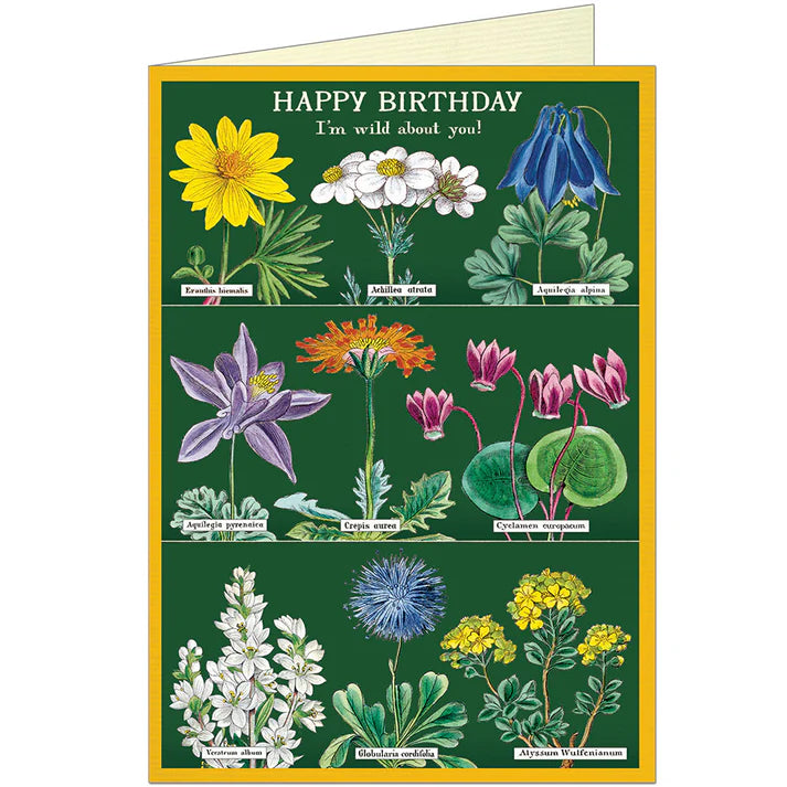 Cavallini Greeting Card