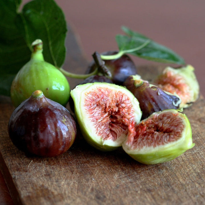 Little Miss™ Figgy