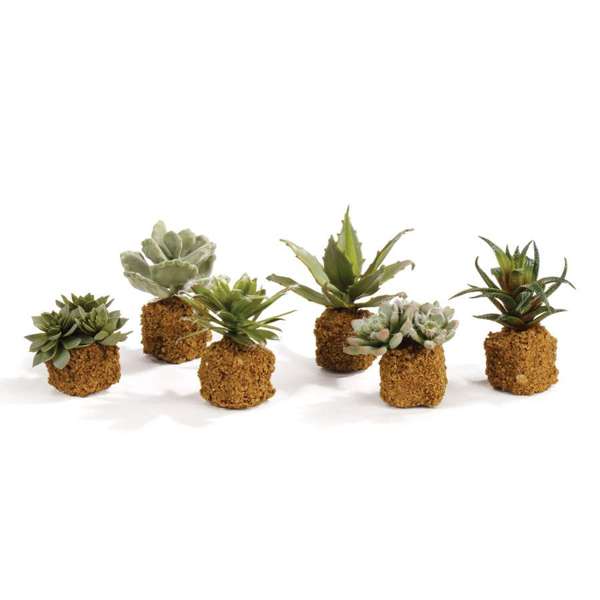 Faux Mini Succulents - Set of 6