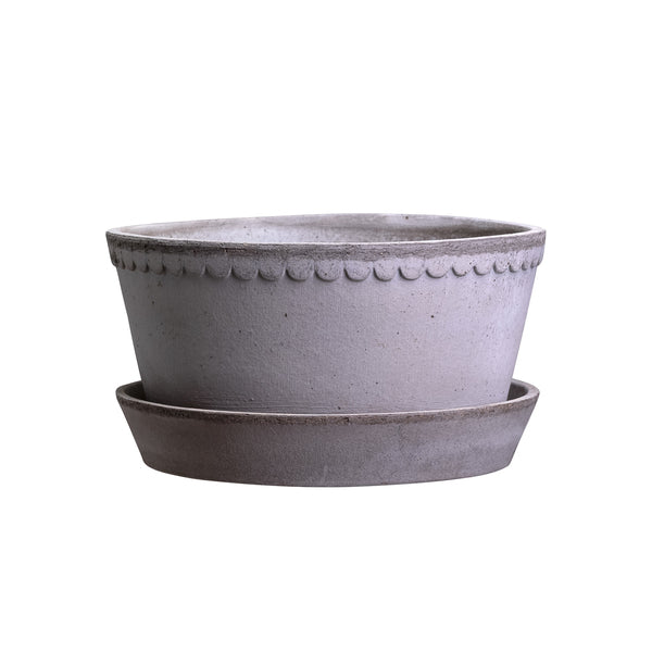 Scallop Pot