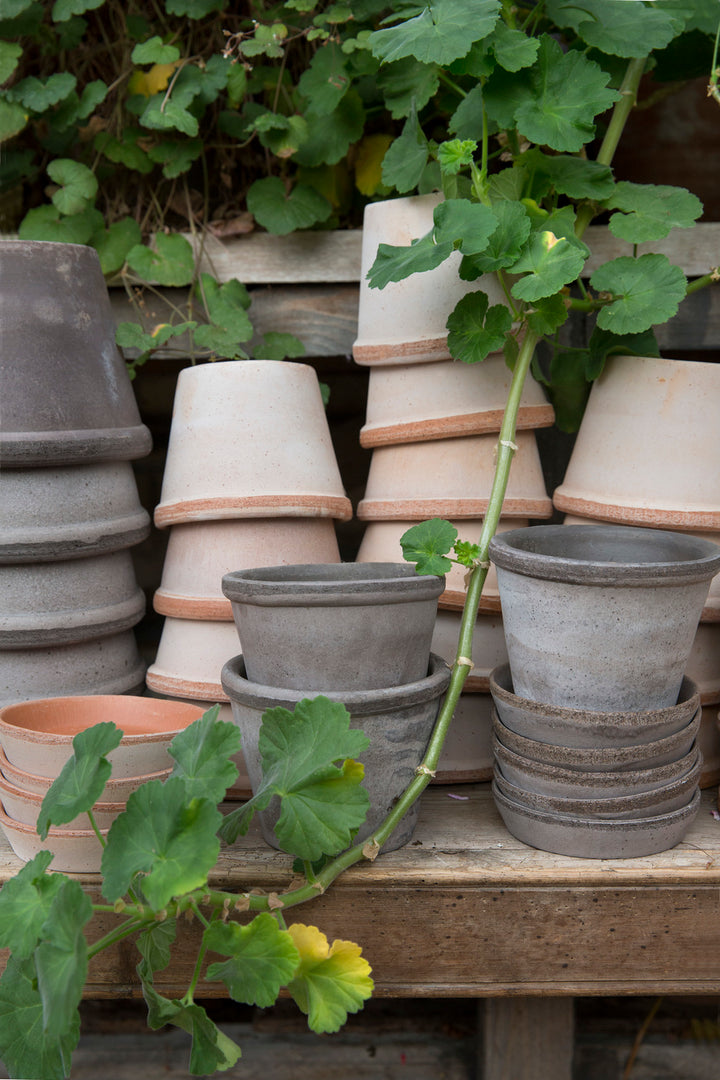 Rim Pot