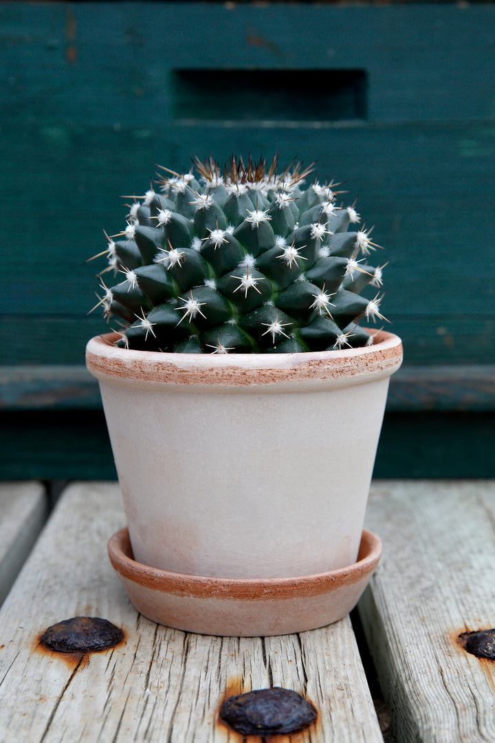 Rim Pot