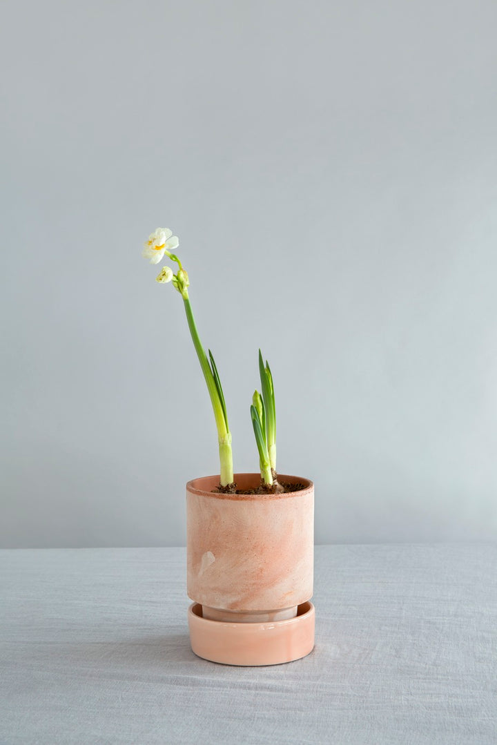 Bergs Cylinder Pot