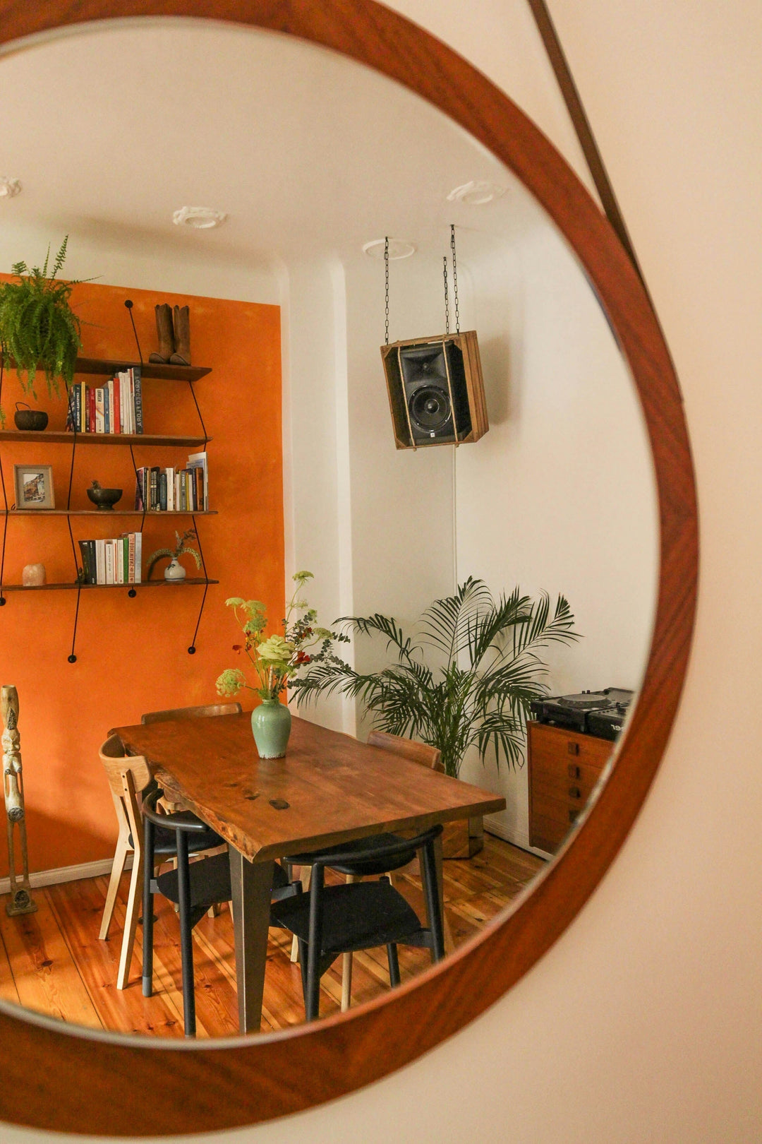I Don't Have a Lot of Natural Light in My Apartment. Can I Still Have Plants?