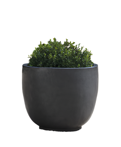 Sem Planter - Thumbnail 2