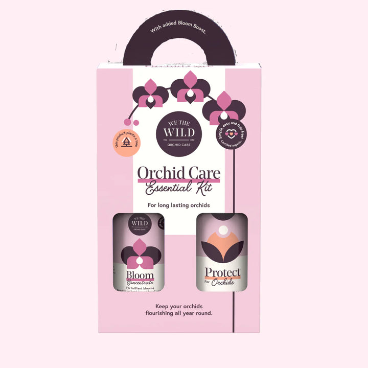 Orchid Essential Kit