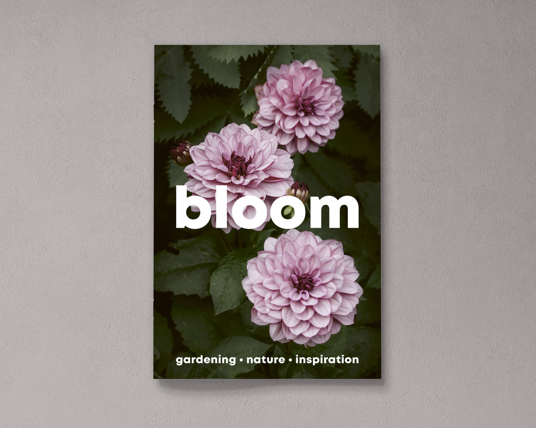 Bloom Magazine – Issue 16