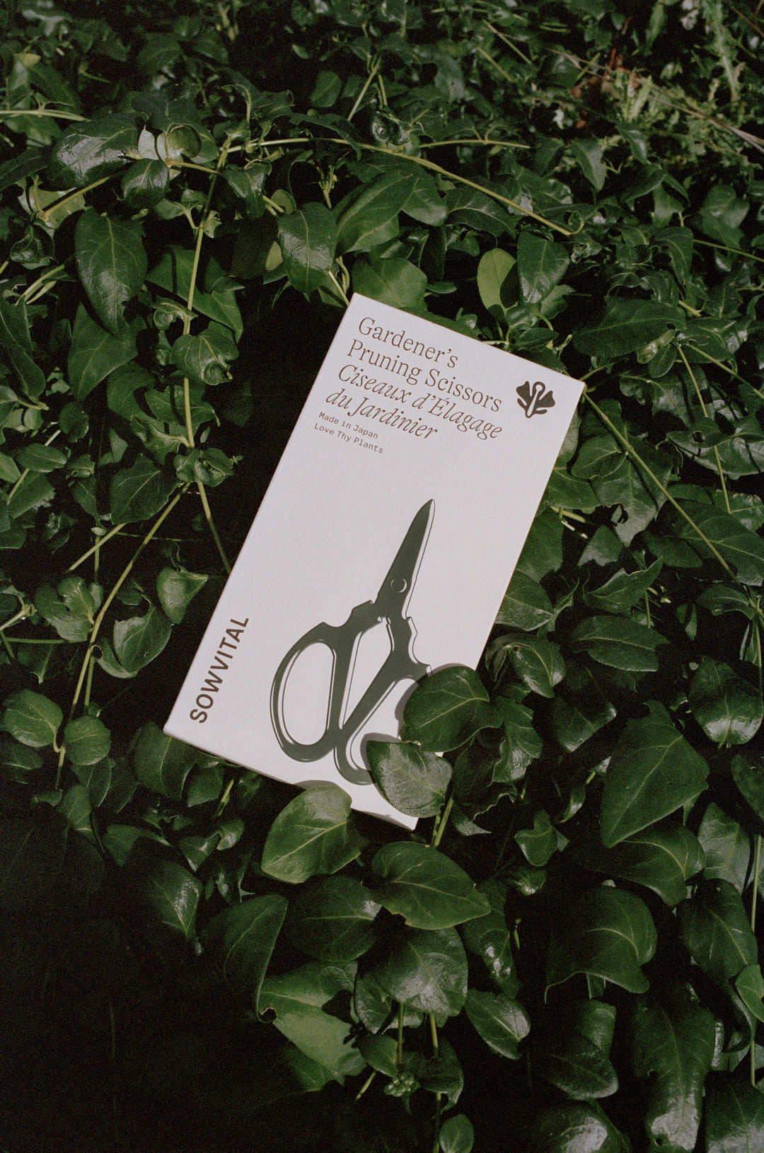 Sowvital Houseplant Pruning Scissors