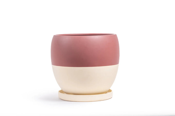 Orb Pot with Saucer