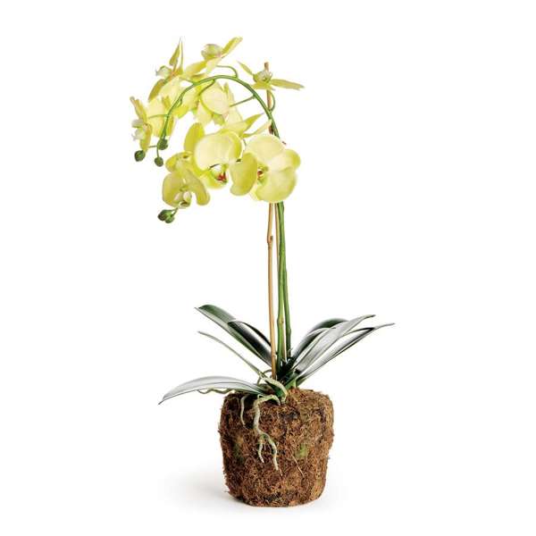 23" Faux Orchid - Yellow
