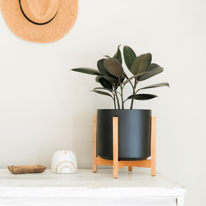 Solid Goods 8 Inch Ceramic Cylinder with Mahogany Stand