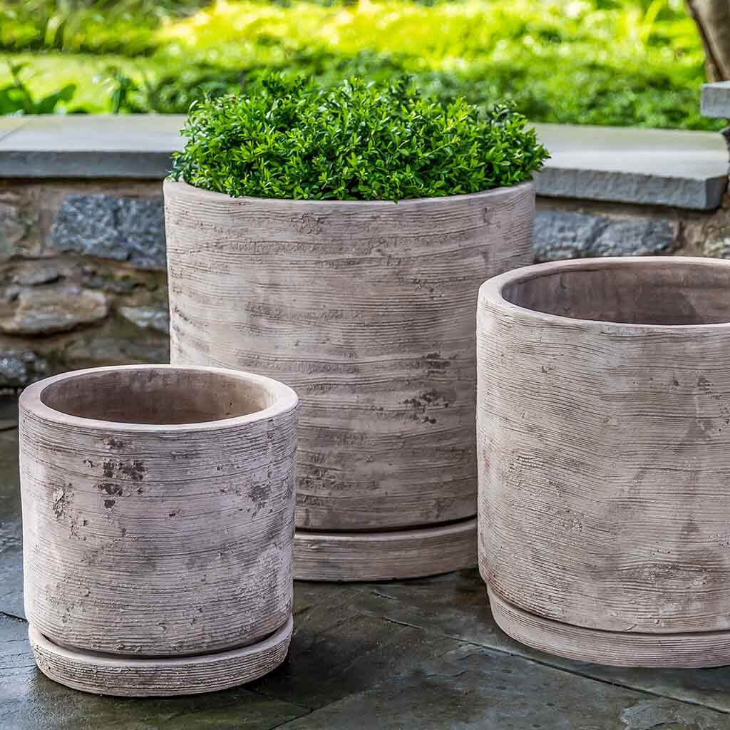 Sgraffito Planter – The Old Yew Plant Shop