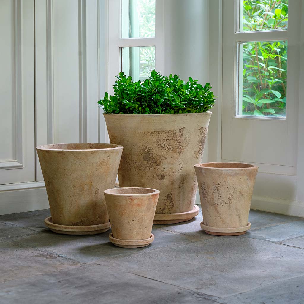Alicia Planter