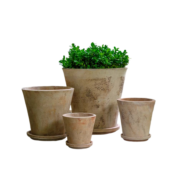 Alicia Planter