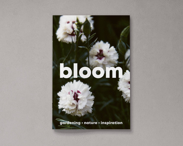 Bloom Magazine – Issue 14