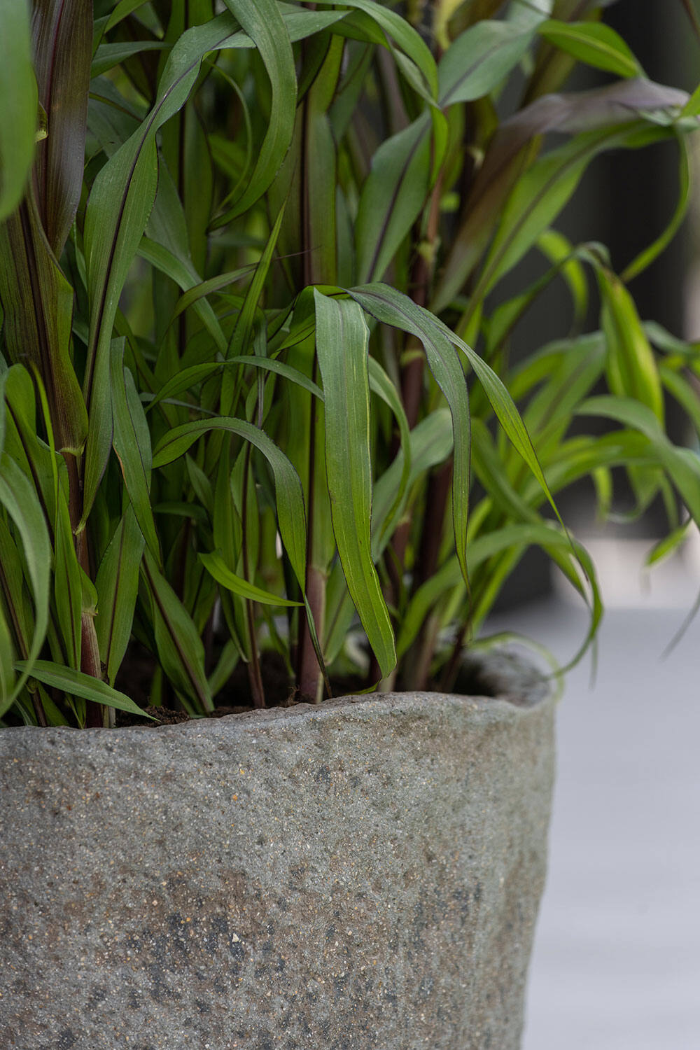 Lightweight Faux Stone Planter