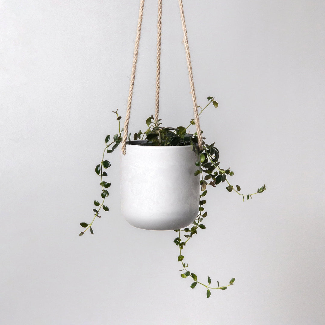 upcycled hanging planter Upcycled Hanging Planter – The Old Yew Plant Shop