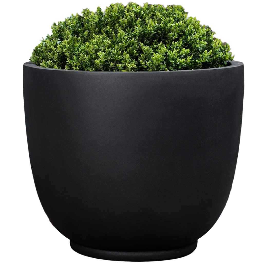 The Old Yew Plant Shop Fiberglass Planter - Thumbnail 4