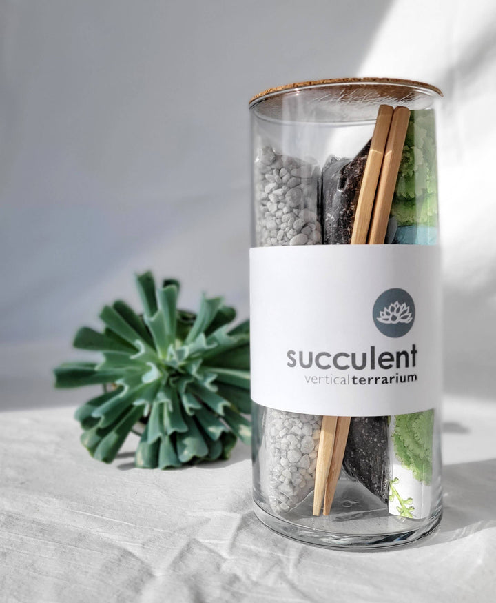 Succulent Terrarium