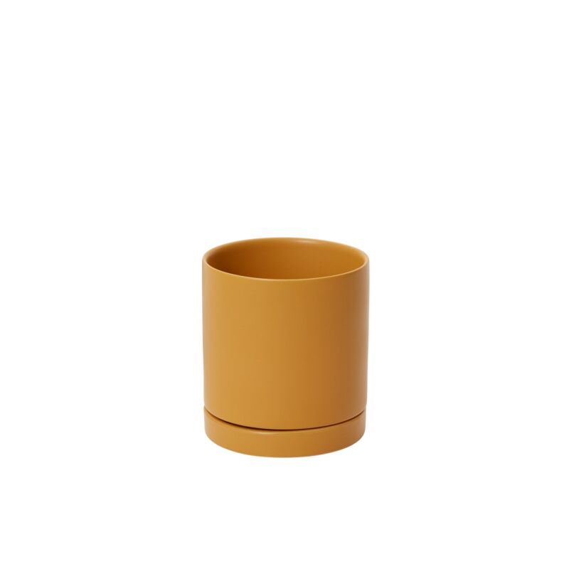 Neutral Pot with Saucer