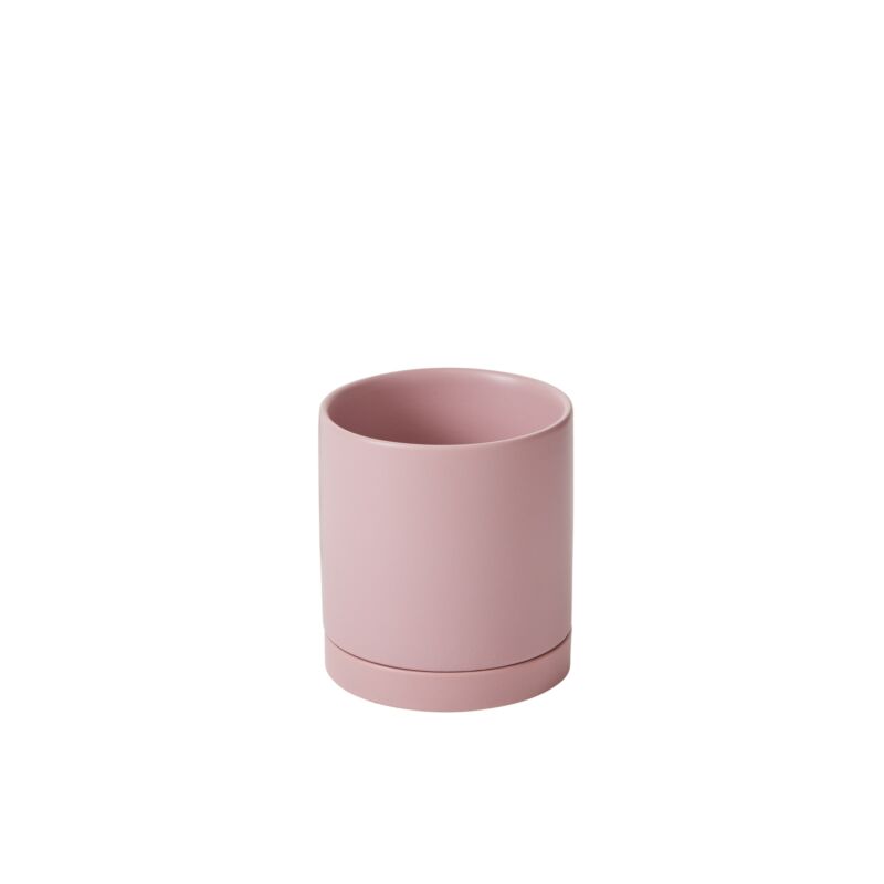 Neutral Pot with Saucer