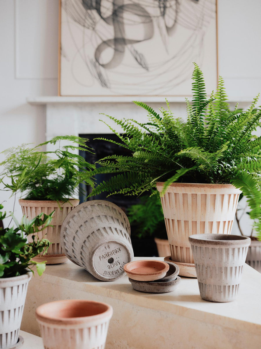 bergs plant pots Bergs Corinth Pot