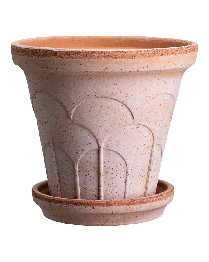 Arch Pot