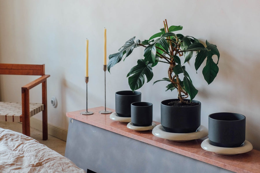 xl plant pots indoor Bergs Modern Pot – The Old Yew Plant Shop